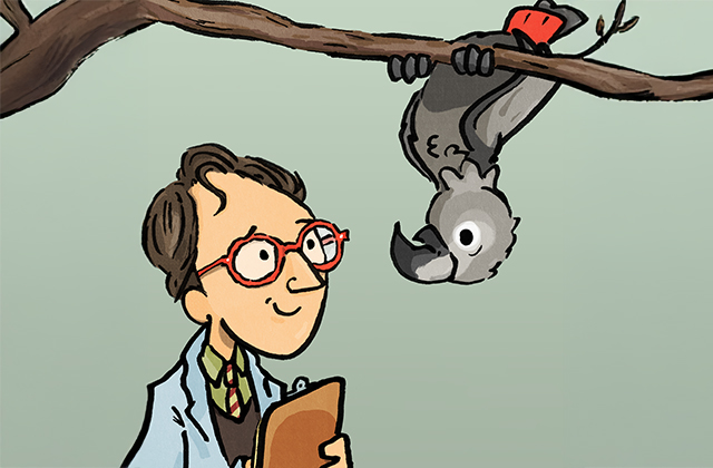 Illustration of Paul Curley, smiling and holding a clipboard, wearing glasses and a scientific lab coat, next to an upside-down grey parrot who is hanging from a branch.