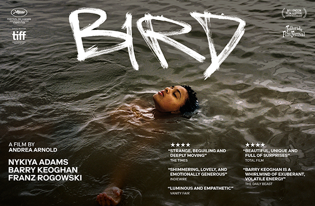 Poster for BIRD. A young girl is floating water with the title, appearing like spray paint, hangs above her.