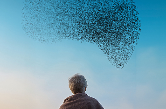 A young boy stands with his back to the camera, wearing a brown hoodie. He is looking up at the blue sky where a large flock of birds fly overhead